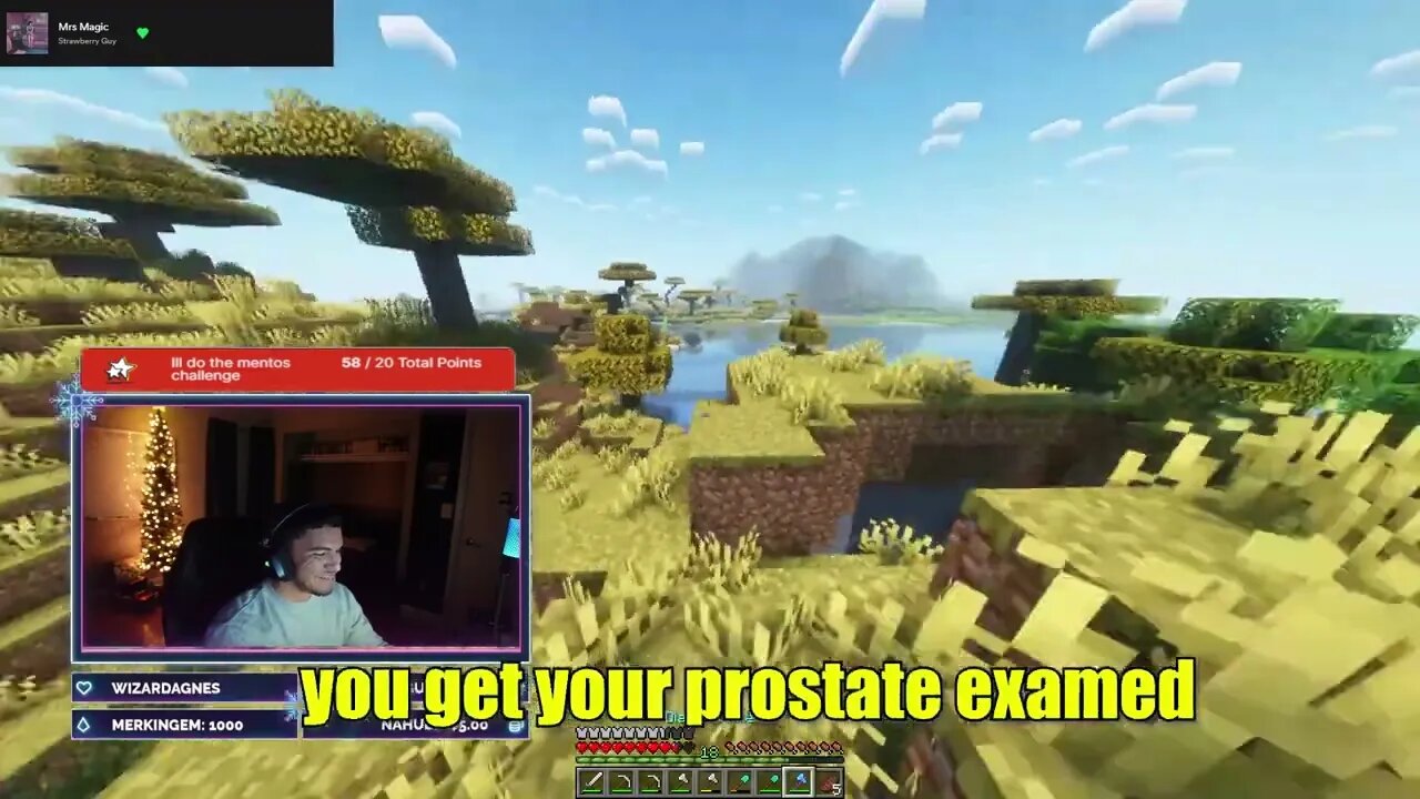 Minecraft Pro Exam