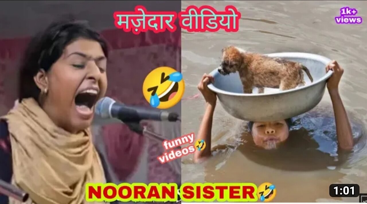 Most viral video funny