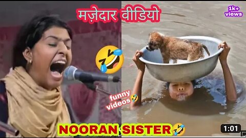 Most viral video funny
