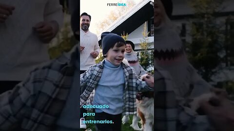 ¿Cuál es la Raza de PERROS Más GRANDES del MUNDO?