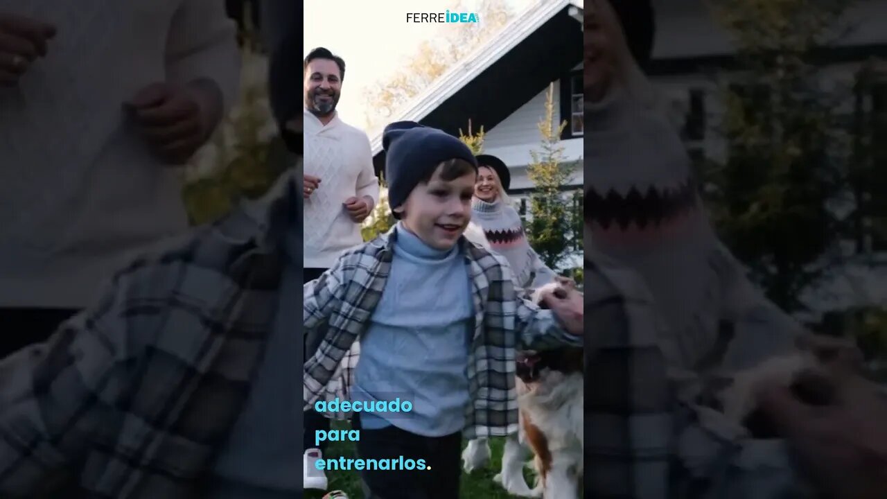 ¿Cuál es la Raza de PERROS Más GRANDES del MUNDO?