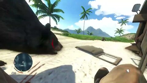 One Mad Bear