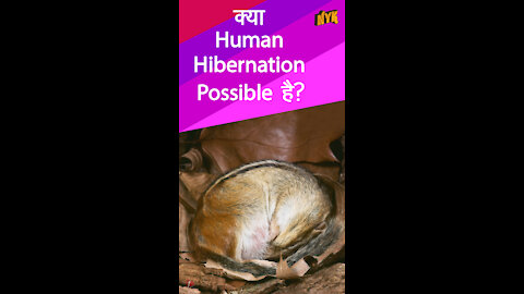 हाइबरनेशन कैसे काम करता है