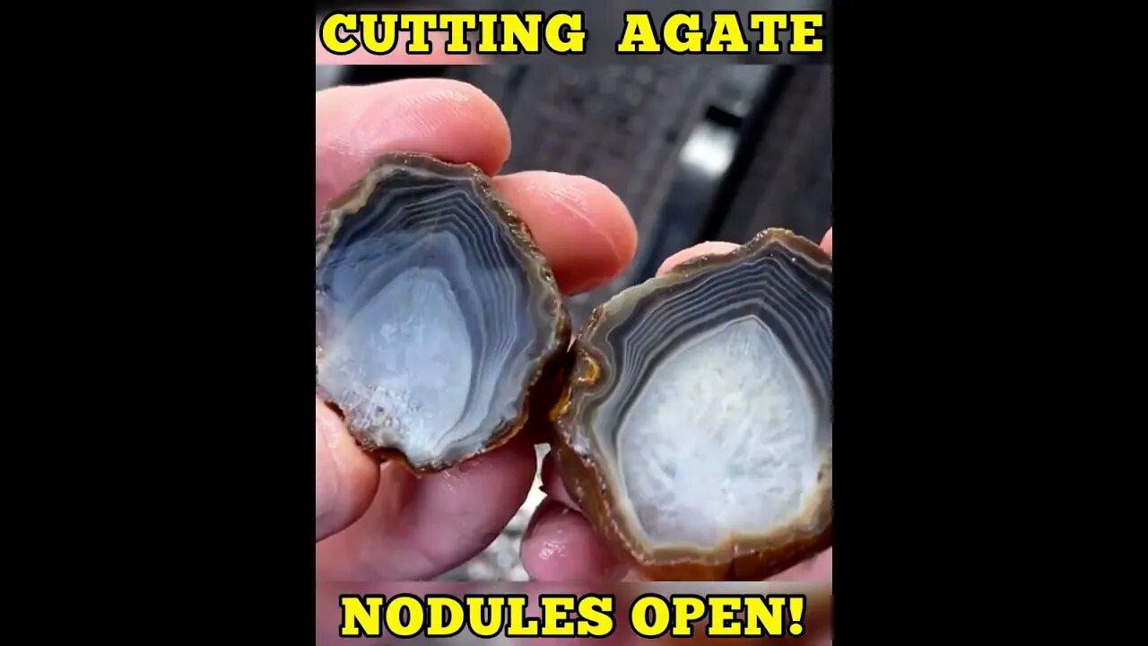 Agate nodules cut open w/ lapidary saw!