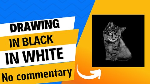 Painting a cat in black and white (no commentary)