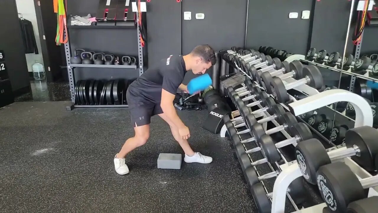 Shrimp Squat Progressions