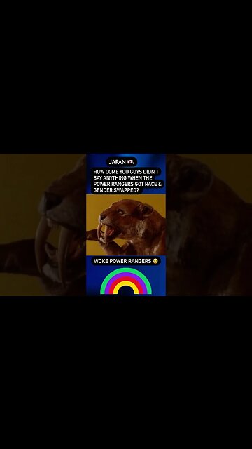 POWER RANGERS WERE DIVERSIFIED