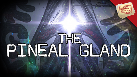 Stuff They Don't Want You to Know: The Pineal Gland: Mysticism and Neuroscience