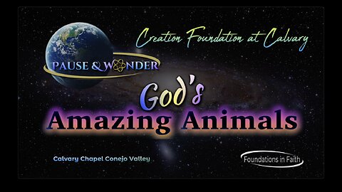 Study 5 - Pause & Wonder "God's Amazing Animals" Part 2