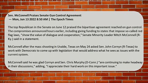Ep 226) Red Flag Laws Are Dangerous & Unconstitutional