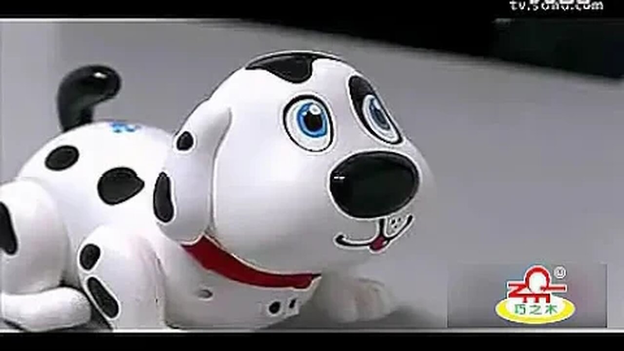 Dog Promotional Video