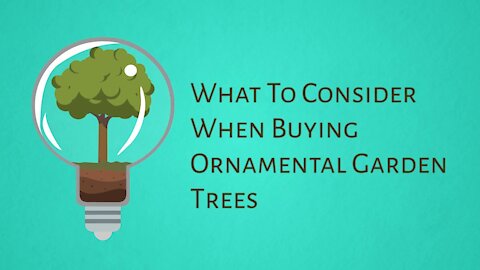 What To Consider When Buying Ornamental Garden Trees