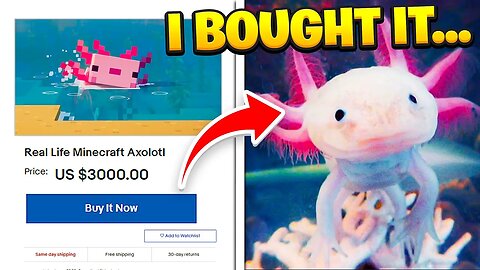 I Bought Him A Minecraft Axolotl in Real Life