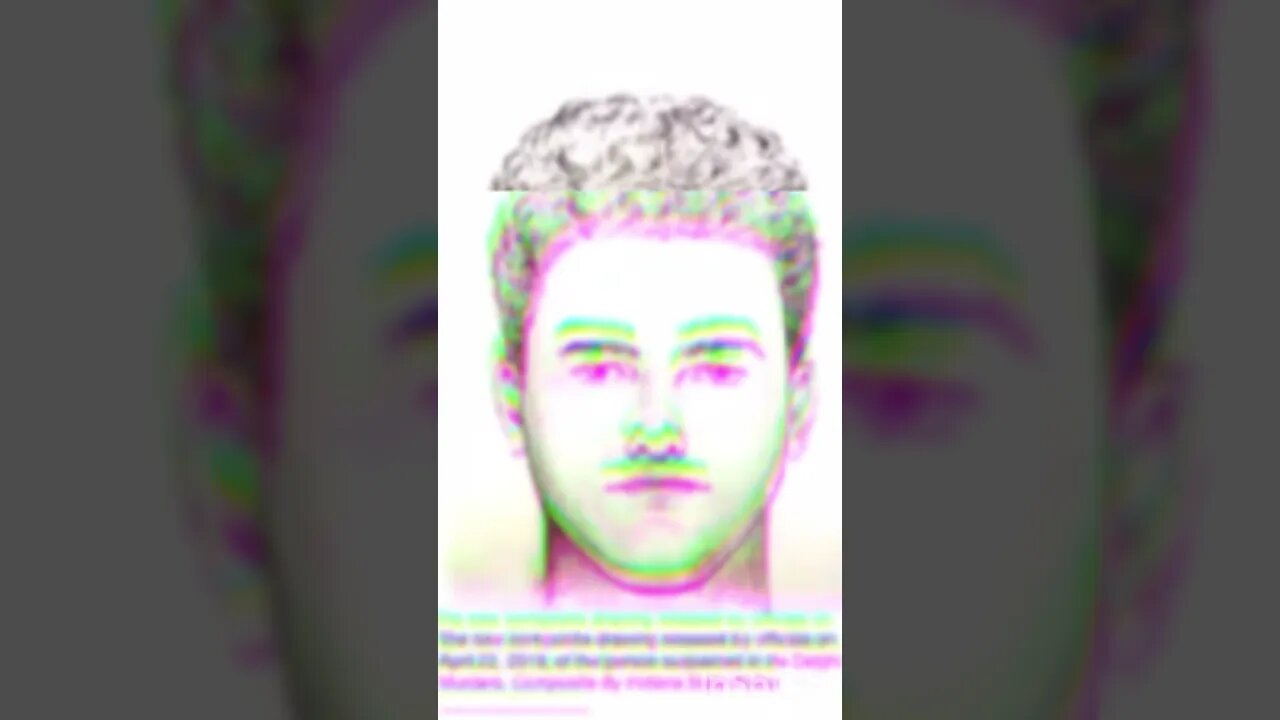 #delphi composite sketch mystery #RichardAllen #abbyandlibby #bridgeguy #delphiindiana