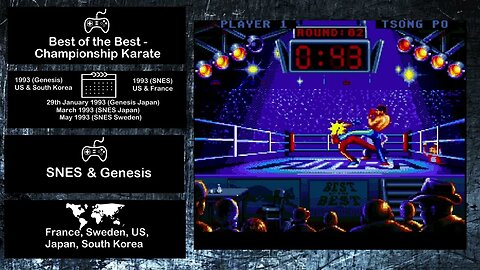 Console Fighting Games of 1993 - Best of the Best Championship Karate
