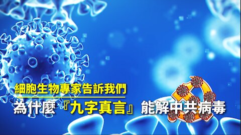 為什麼『九字真言』能解 中共病毒?