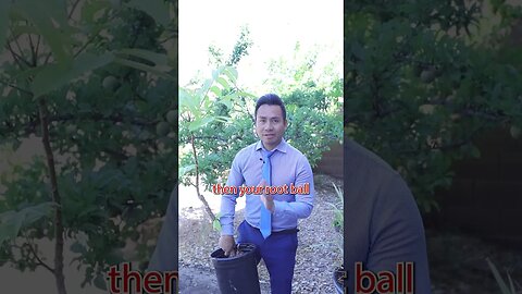 DO NOT repot your tree!!! #shorts #planting #gardening #growingtree #repotting #viralshorts MrBeast