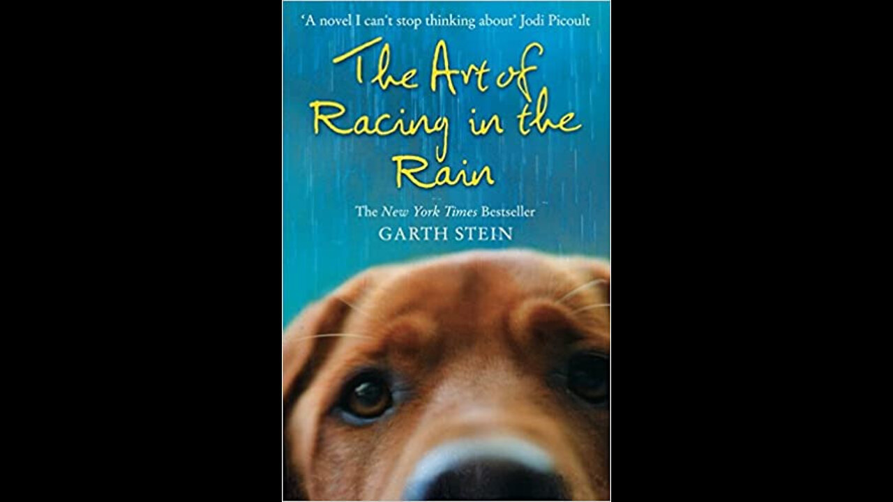 The Art of Racing in the Rain- Book Review