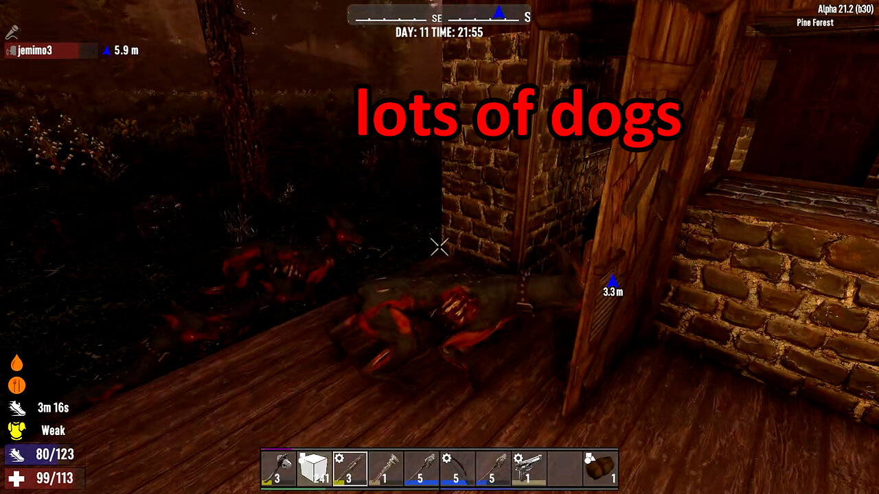 7D2D | dogs | 1 1 24 |with Jen and oliva| VOD|