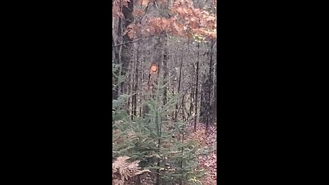No chainsaw? No problem.