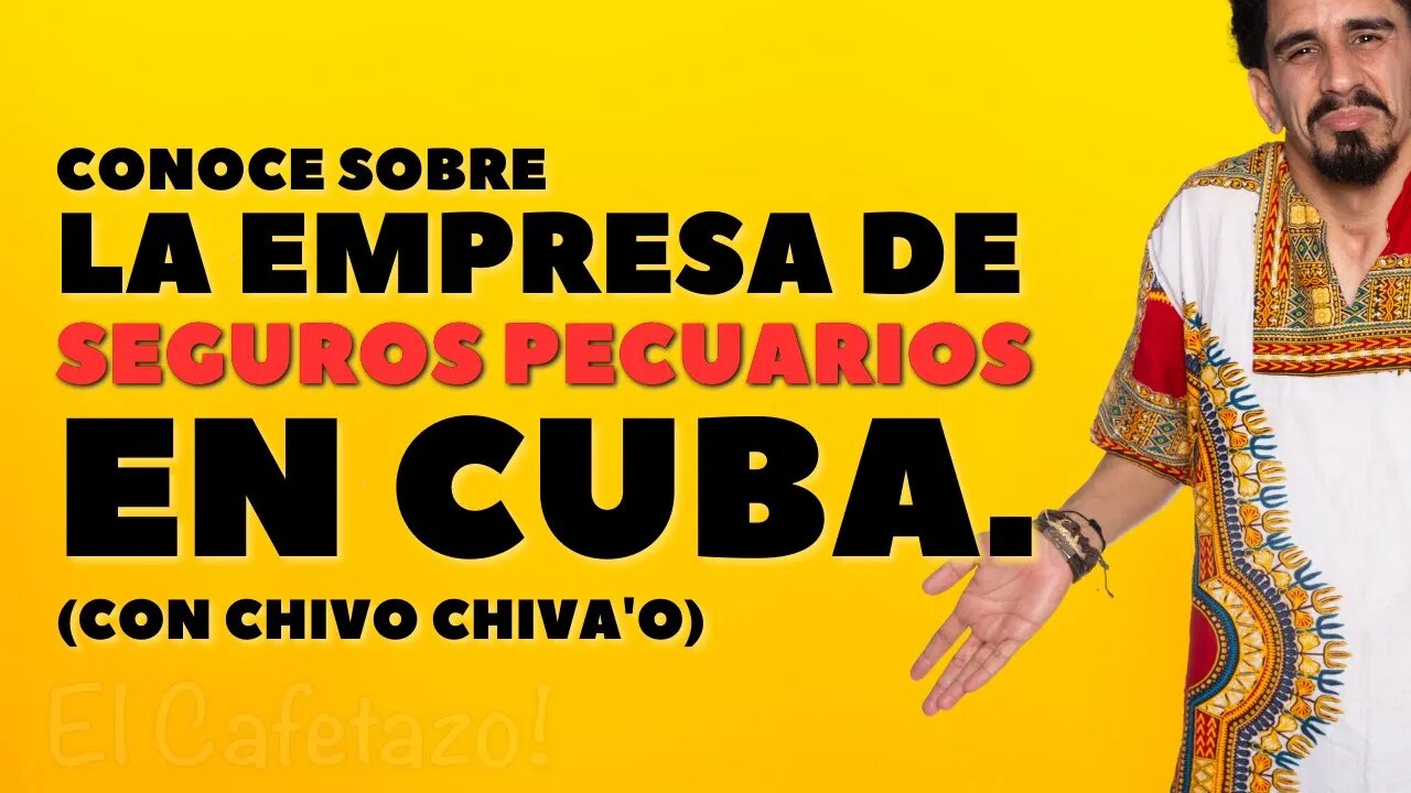 Conoce sobre la Empresa de Seguros Pecuarios en Cuba. Con chivo chiva'o.