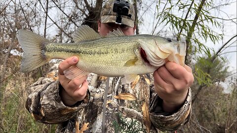 The Bluegill Swimbait is a MUST!