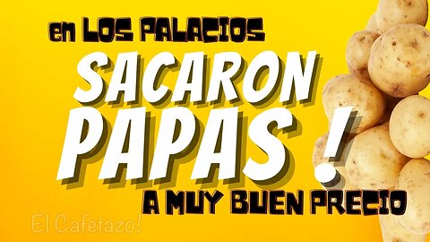 En Los Palacios SACARON PAPAS.