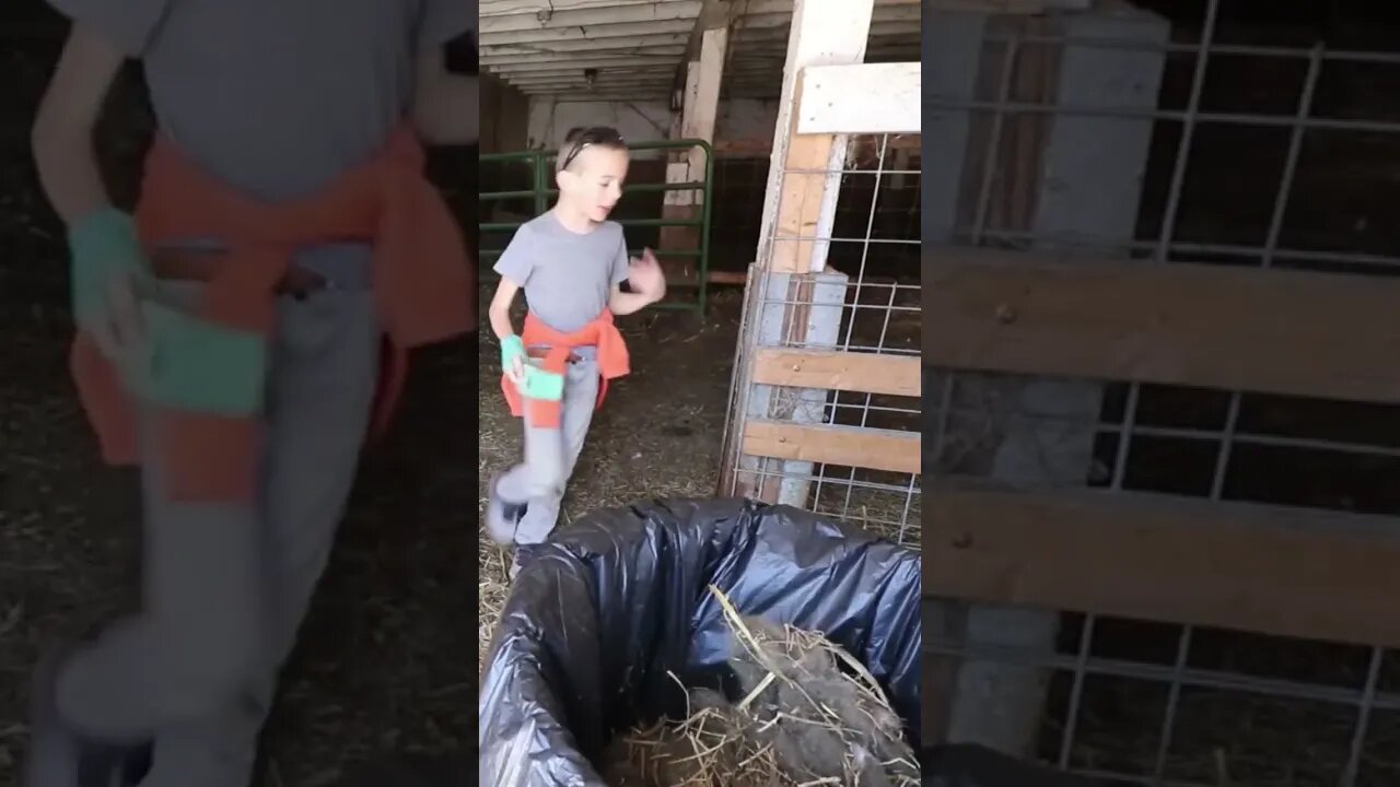 He Sprayed 💩 On The Kids! 😄 #farmkids #farmdog #shorts