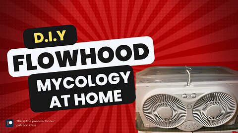 Portable diy FLOWHOOD for Mycology under $200