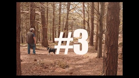 HOBBIE #3 - Bill O'Dea (Mushrooms & Foraging)