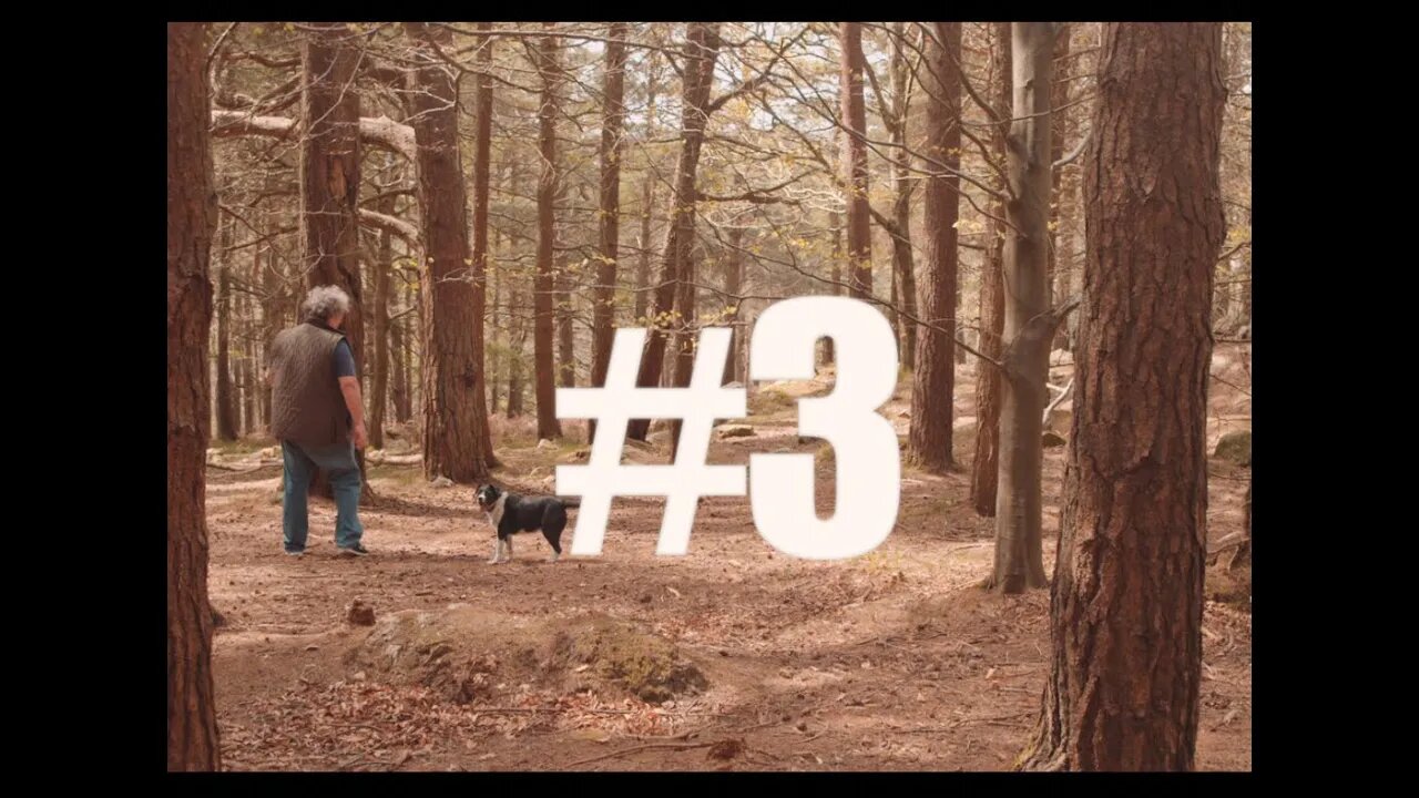 HOBBIE #3 - Bill O'Dea (Mushrooms & Foraging)