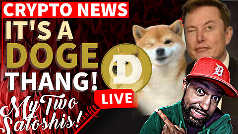 Dogecoin to Soar Beyond Expectations! Crypto Blood Explains Why It’s Possible!