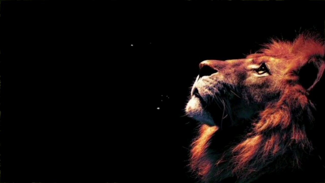 I'M THE KING OF THE JUNGLE - LYRICAL | AI MUSIC |