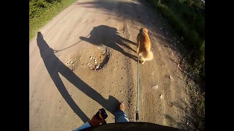 July 24th 60º, Flynn takes me North but we don't get far before he's done.