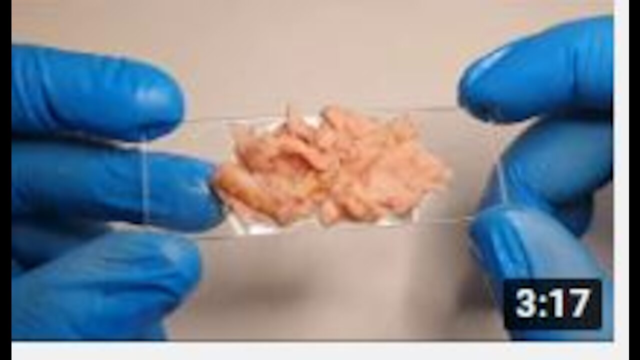 Why There Is Plastic In Fish Meat