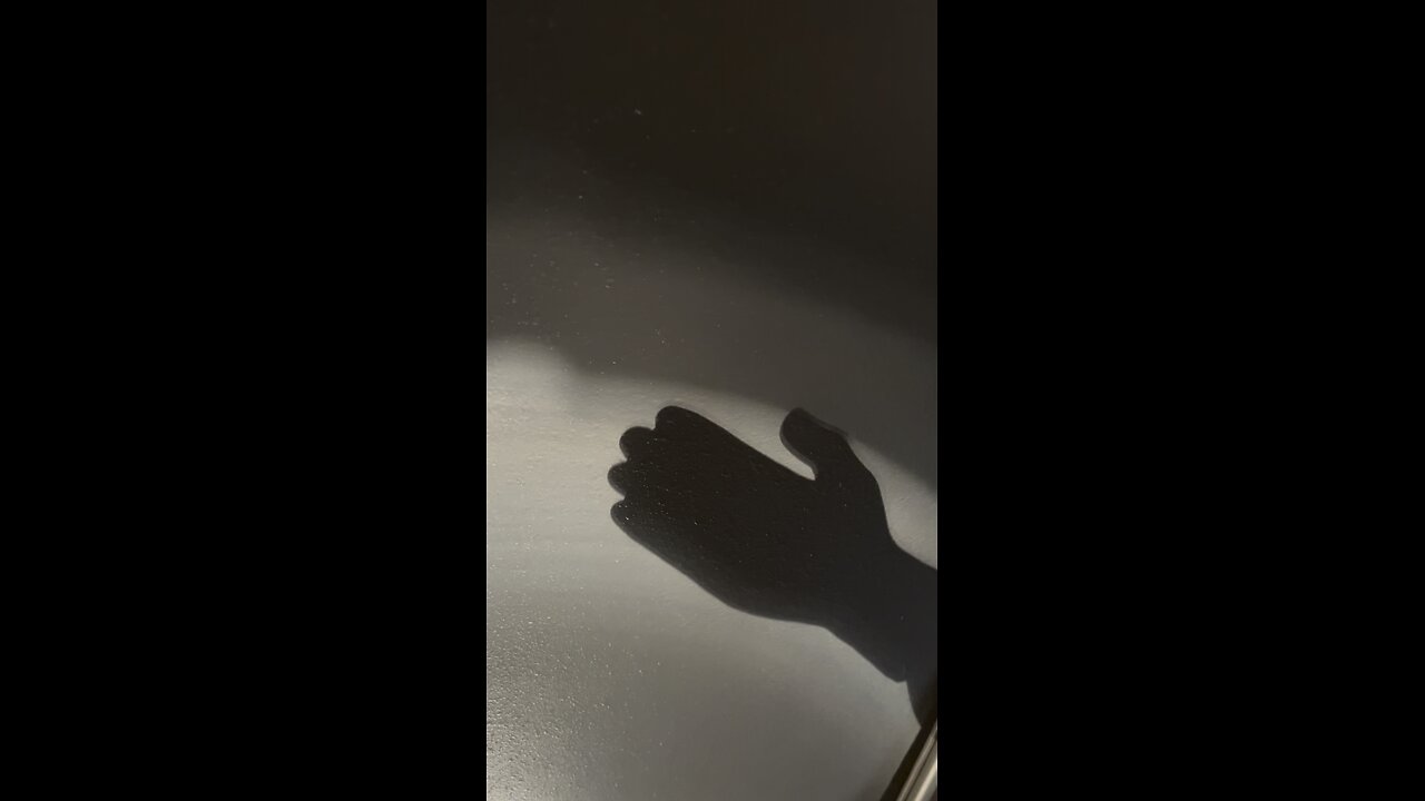 Shadow puppet Saturday is a failure with SPH: Shadow puppets with small plastic hands