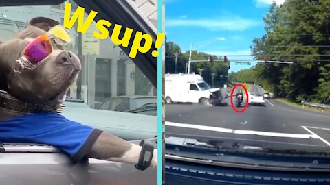 BEST COMPILATION VIDEOS DRIVER FAIL AND FUNNY MOMENT ON THE ROAD