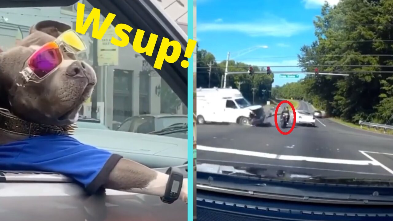 BEST COMPILATION VIDEOS DRIVER FAIL AND FUNNY MOMENT ON THE ROAD