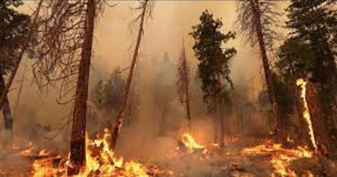 California's Oak Fire has expanded rapidly
