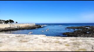 SOUTH AFRICA - Cape Town - Table Bay Kayaking (Video) (6Lh)