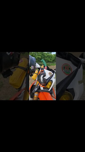 Dirtbiking on Wednesday #shorts #ktm300 #ohlins #giantloop #tsp #irnieracing