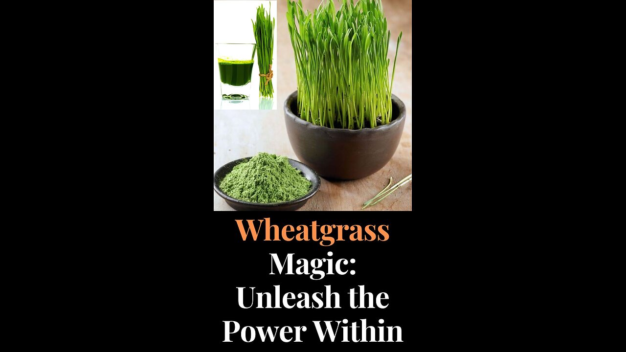 Magical benefits of wheatgrass