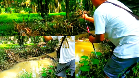 Fishing in the garden ditch!!! The bonus is getting jumbo catfish