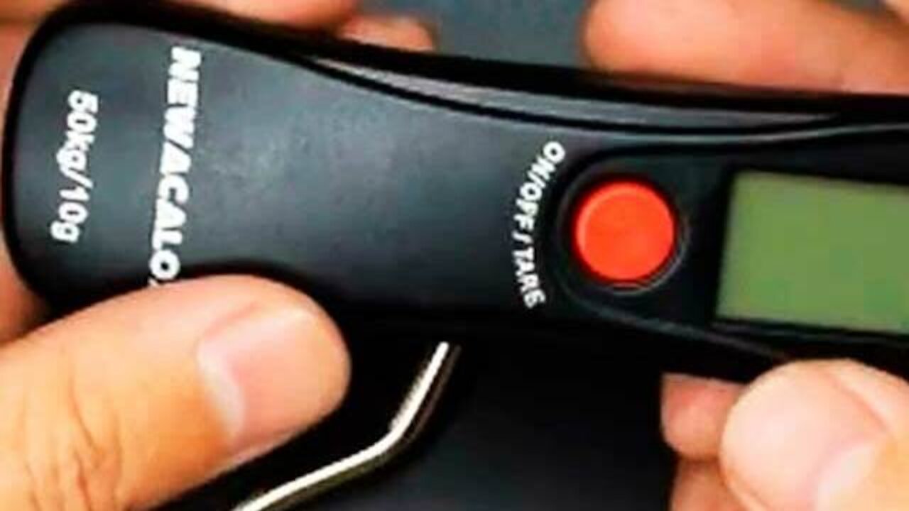 Portable Digital Luggage Hanging Scale (10g50kg)