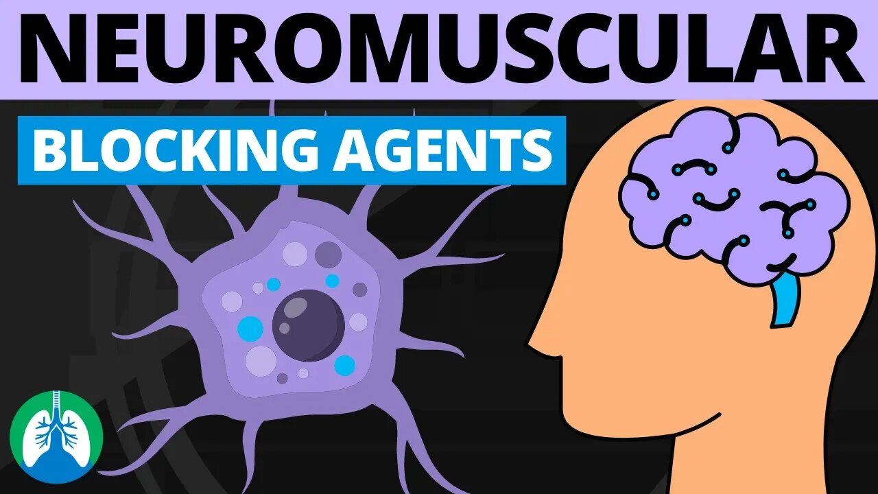 Neuromuscular Blocking Agents (Definition) | Depolarizing vs Nondepolarizing Drugs