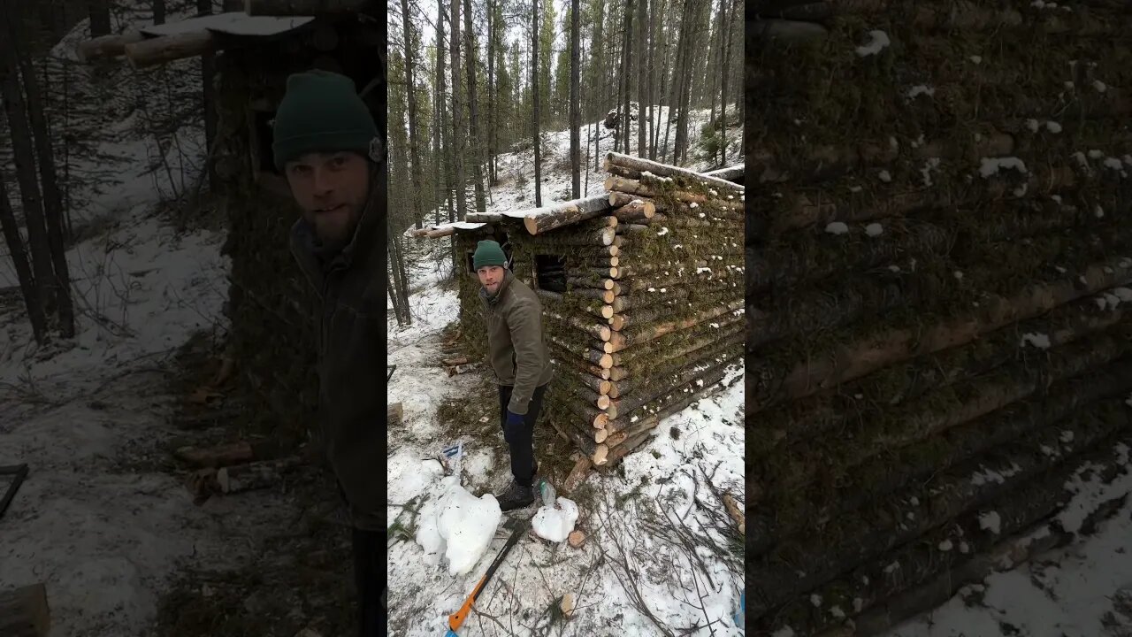 Proud of his bushcraft shelter #bushcraftshelter #bushcraft #shelterbuilding