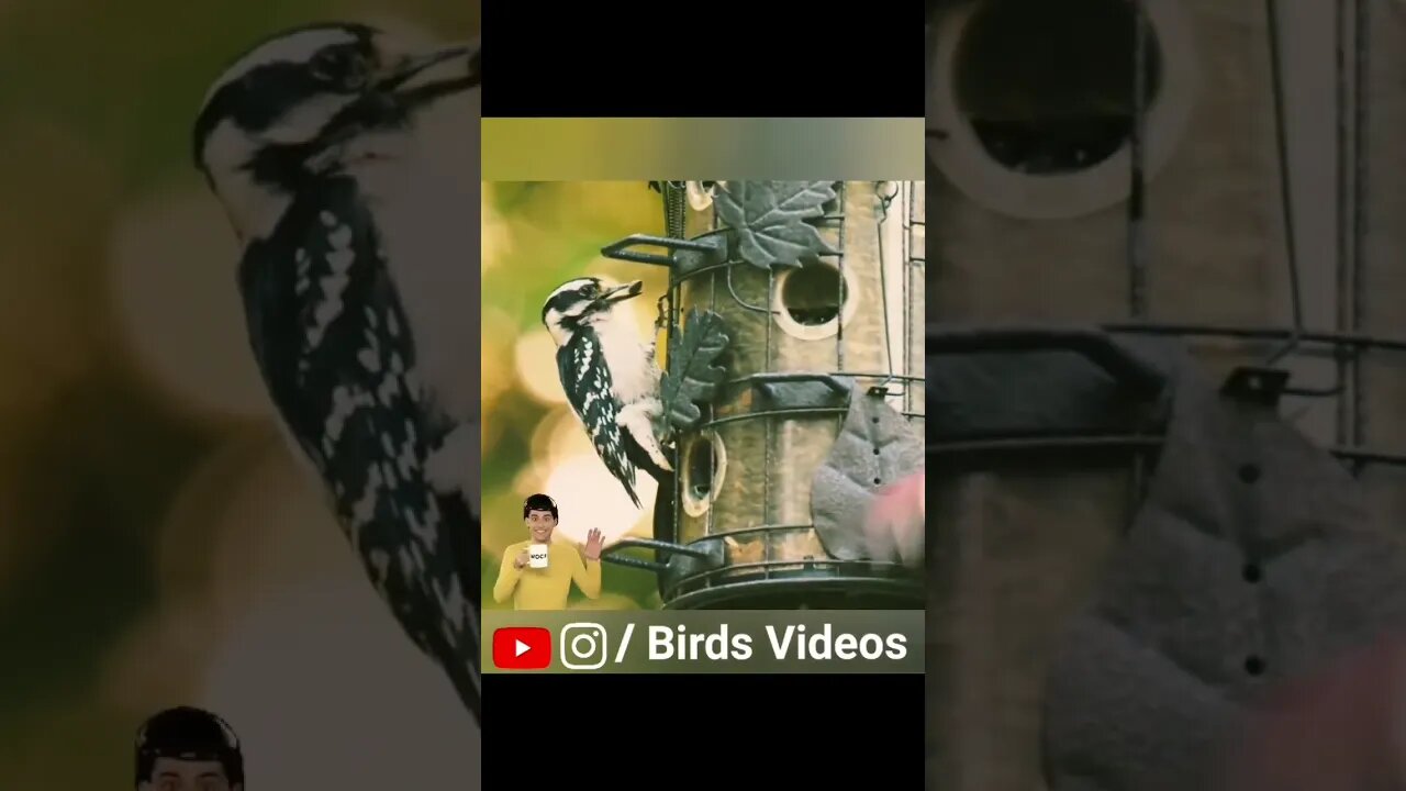 Relaxing Nature Video