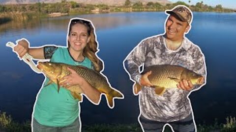 Catching Massive Carp at Roper Lake.