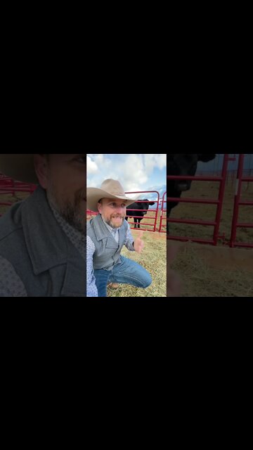 How to Become a Rancher in 2023