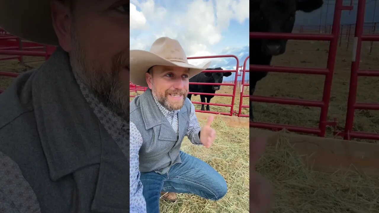 How to Become a Rancher in 2023